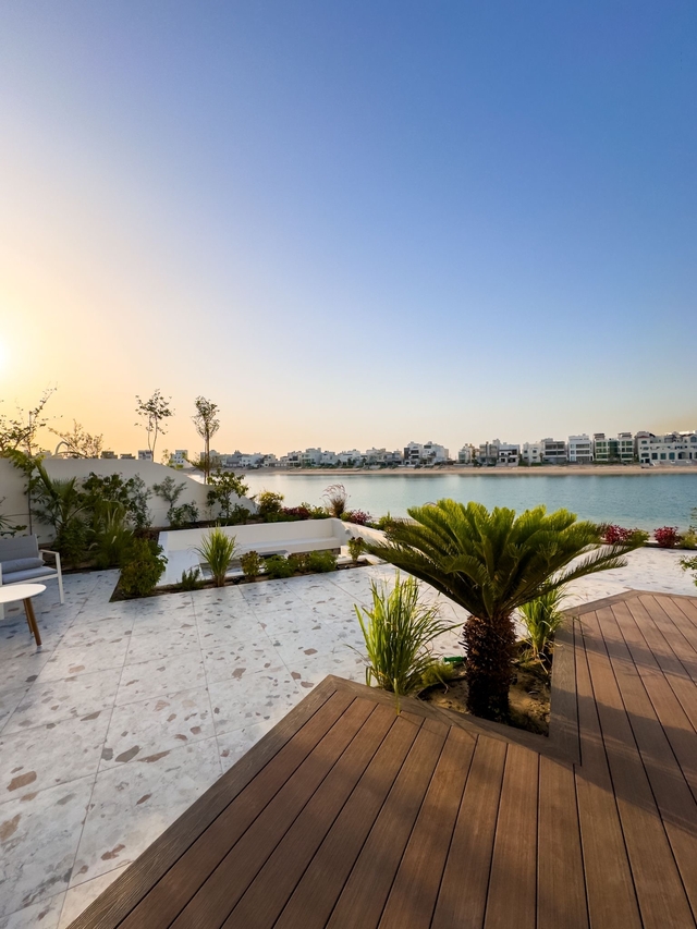 THE CURE  ( <i style='color:#B10622'>VVIP</i> )