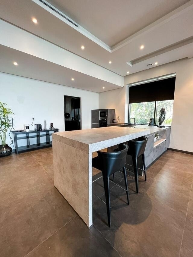 Palm  ( <i style='color:#B10622'> VVIP</i> )